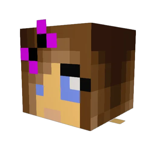 nicky55 Minecraft avatar head, 3D render