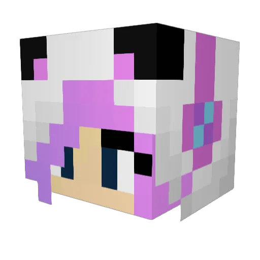 nickyannabelle97 Minecraft avatar head, 3D render