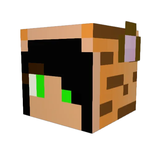 nickyca Minecraft avatar head, 3D render