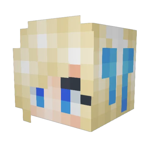 nickytod Minecraft avatar head, 3D render