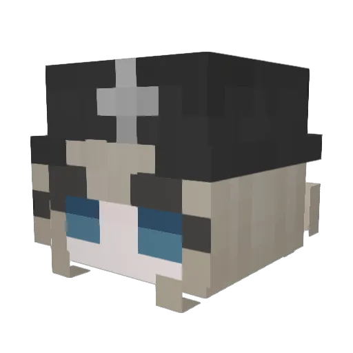 nickyy_nicks Minecraft avatar head, 3D render
