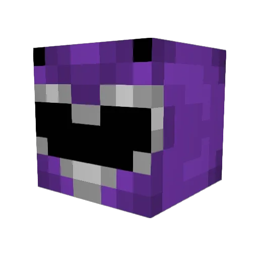 niclasfdt Minecraft avatar head, 3D render