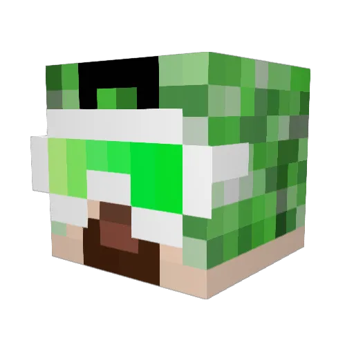 nicman23 Minecraft avatar head, 3D render