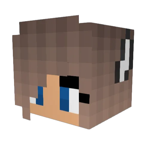 nicnoodles12 Minecraft avatar head, 3D render