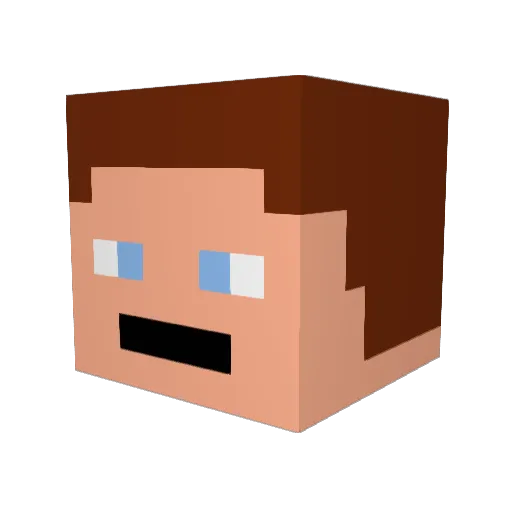 nico1420 Minecraft avatar head, 3D render
