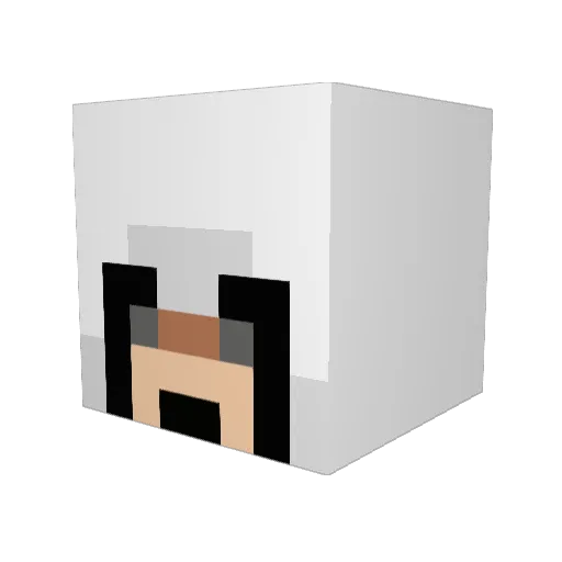 nico1717 Minecraft avatar head, 3D render