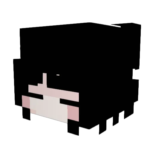 nicoal Minecraft avatar head, 3D render