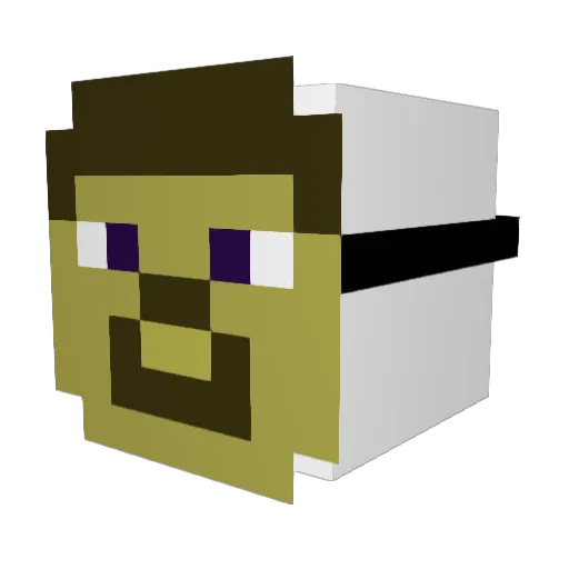 nicoc511 Minecraft avatar head, 3D render