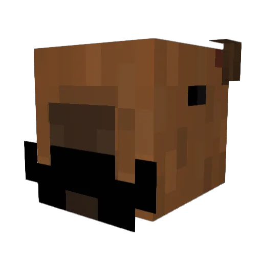 nicocochulo Minecraft avatar head, 3D render