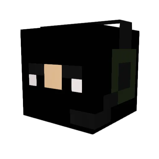 nicofoufi92 Minecraft avatar head, 3D render