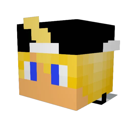 nicoking79 Minecraft avatar head, 3D render