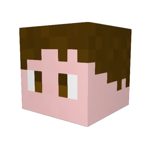 nicola2005 Minecraft avatar head, 3D render