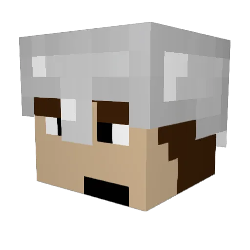 nicolaminecraft2 Minecraft avatar head, 3D render