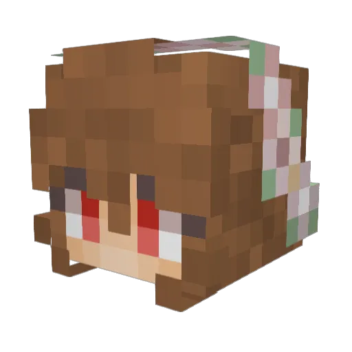 nicolascaged370 Minecraft avatar head, 3D render