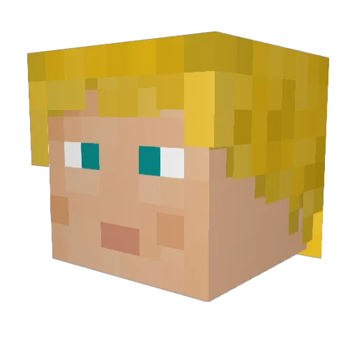 nicolasdu14 Minecraft avatar head, 3D render