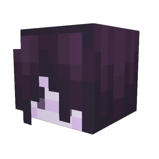 nicolassales Minecraft avatar head, 3D render