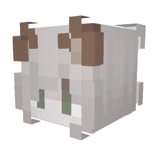 nicole0401 Minecraft avatar head, 3D render