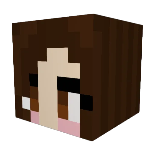 nicoleY2k Minecraft avatar head, 3D render
