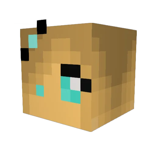 nicolei007 Minecraft avatar head, 3D render