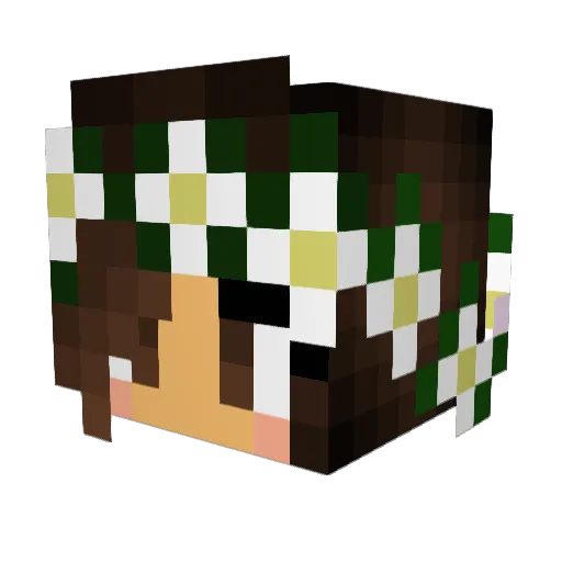 nicoleknows Minecraft avatar head, 3D render