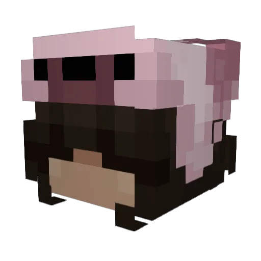 nicolem_tz Minecraft avatar head, 3D render