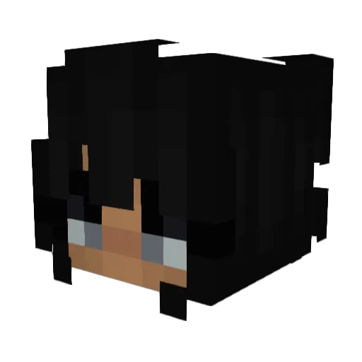 nicolepl Minecraft avatar head, 3D render
