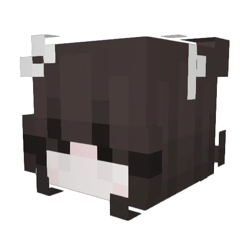 nicolette22 Minecraft avatar head, 3D render