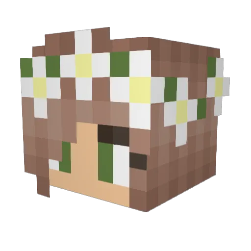 nicolexox Minecraft avatar head, 3D render