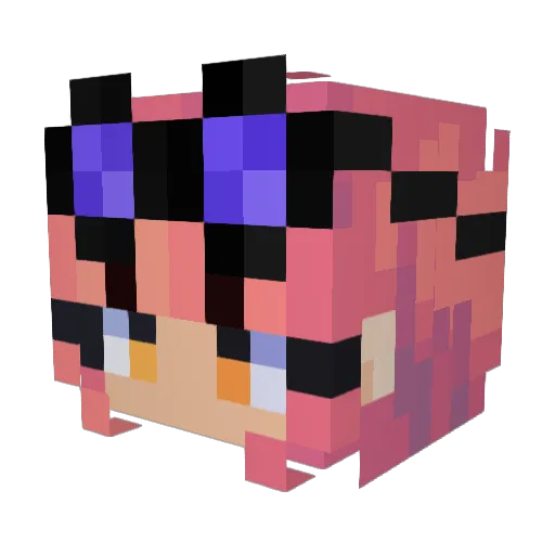 nicolstoca2 Minecraft avatar head, 3D render