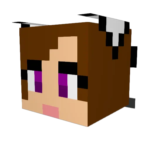 nicomeeko Minecraft avatar head, 3D render