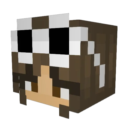 nicoo9 Minecraft avatar head, 3D render