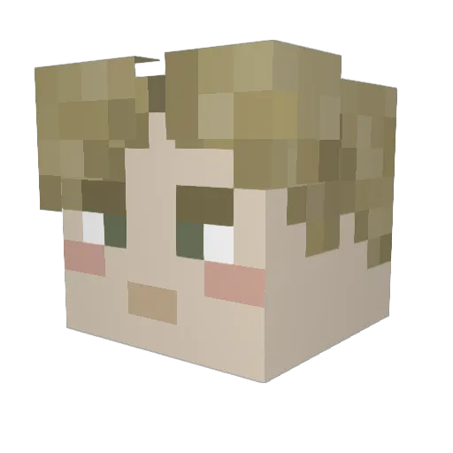 nicotine244 Minecraft avatar head, 3D render