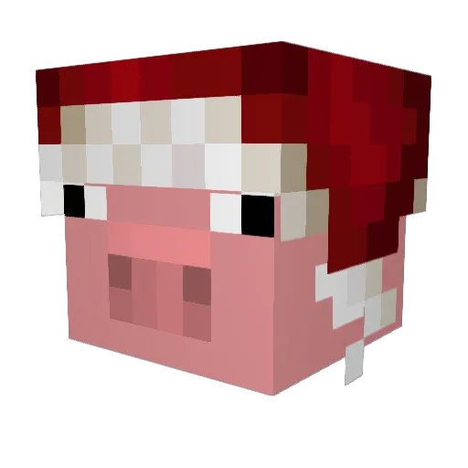 nicow6 Minecraft avatar head, 3D render