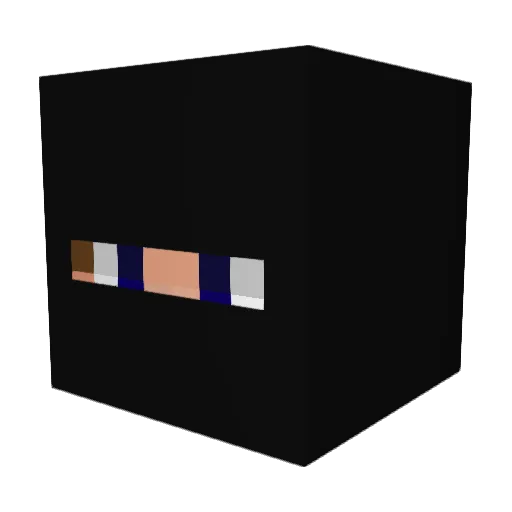 nicoxdry Minecraft avatar head, 3D render