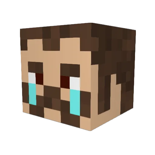 nicoxsuca Minecraft avatar head, 3D render