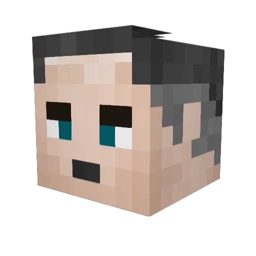 nicoya54 Minecraft avatar head, 3D render