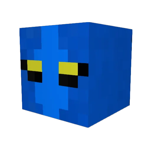 nicp9 Minecraft avatar head, 3D render