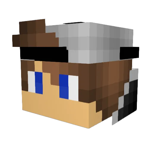 nicsu2005 Minecraft avatar head, 3D render