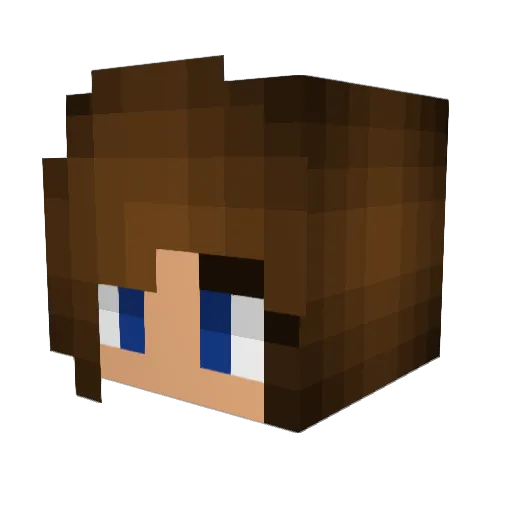 nicy200 Minecraft avatar head, 3D render