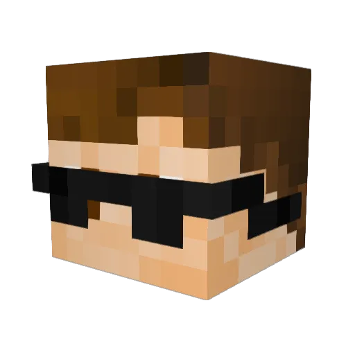 nidga7 Minecraft avatar head, 3D render