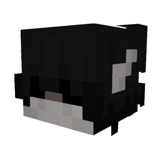 nidi20000 Minecraft avatar head, 3D render