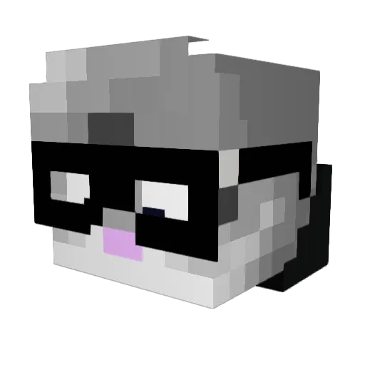 nidjA_11 Minecraft avatar head, 3D render