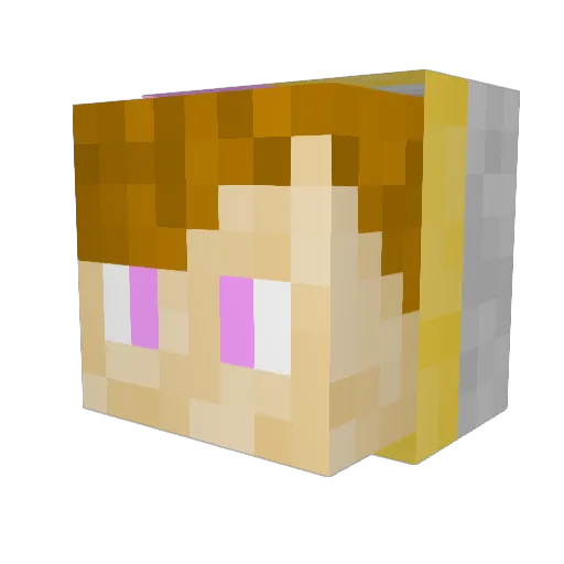 niels635 Minecraft avatar head, 3D render
