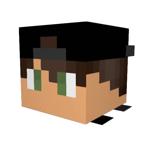 nielsoooo Minecraft avatar head, 3D render
