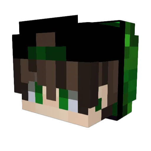 nieltje07 Minecraft avatar head, 3D render