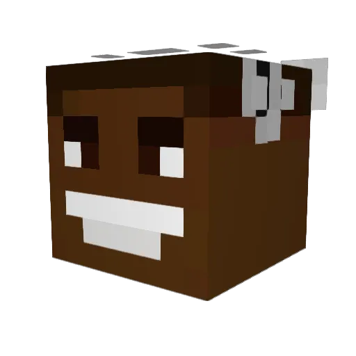 nieniko Minecraft avatar head, 3D render