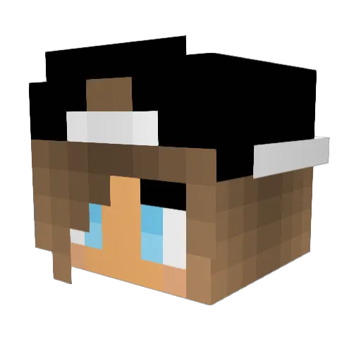 nienos Minecraft avatar head, 3D render