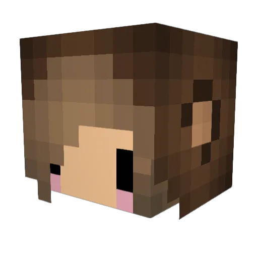 nientje_thee Minecraft avatar head, 3D render