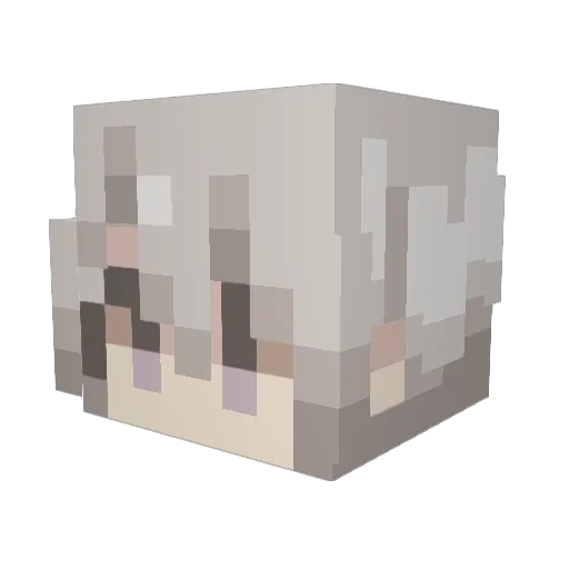 nietmoeder Minecraft avatar head, 3D render