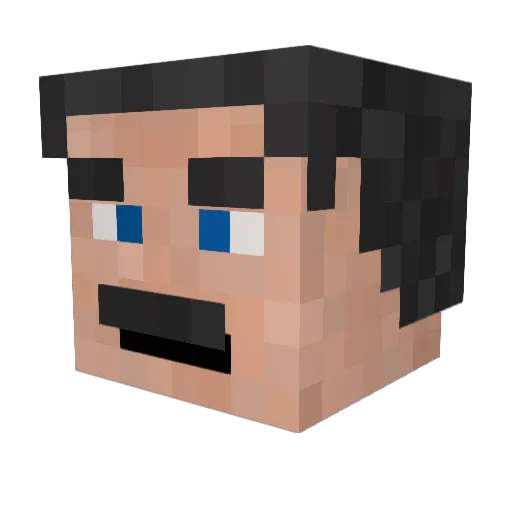 niewydymka Minecraft avatar head, 3D render